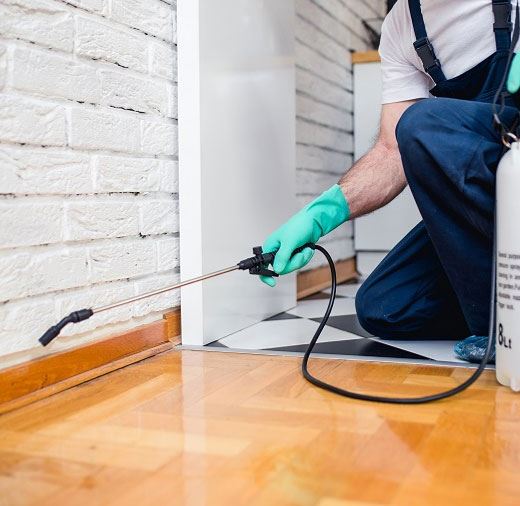 Emergency Pest Control Canberra