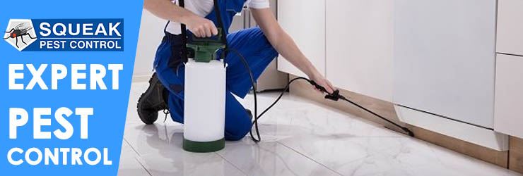 Expert Pest Control Sydney