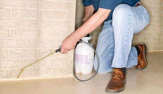 Pest Control Canberra