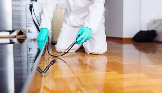 Pest Control Perth