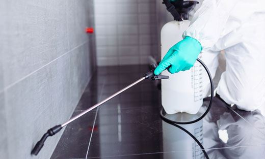 Pest Control Services