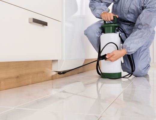 Pest Control Services Perth