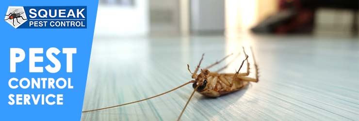 Pest Control Sydney