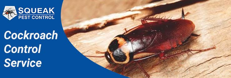 Cockroach Control Service