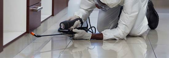 Hotel Pest Control Service