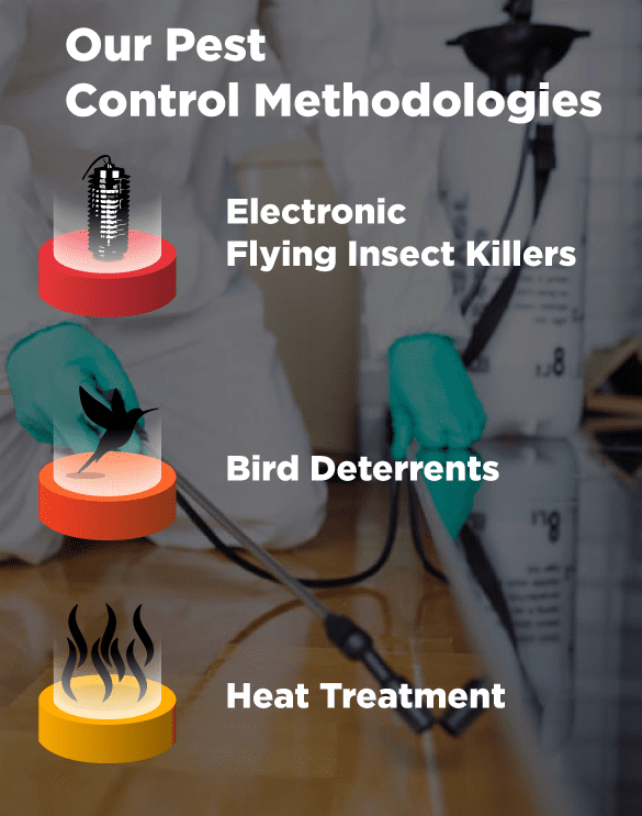 Pest Eradication Treatment