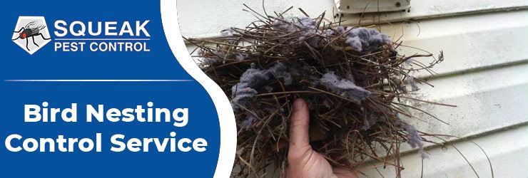 Bird Nesting Control Sydney
