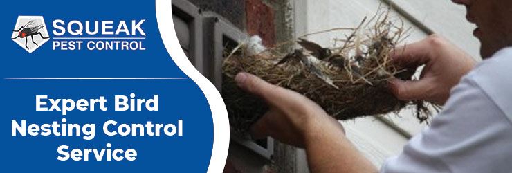 Bird Nesting Control Service