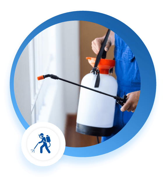 Best Pest Spray